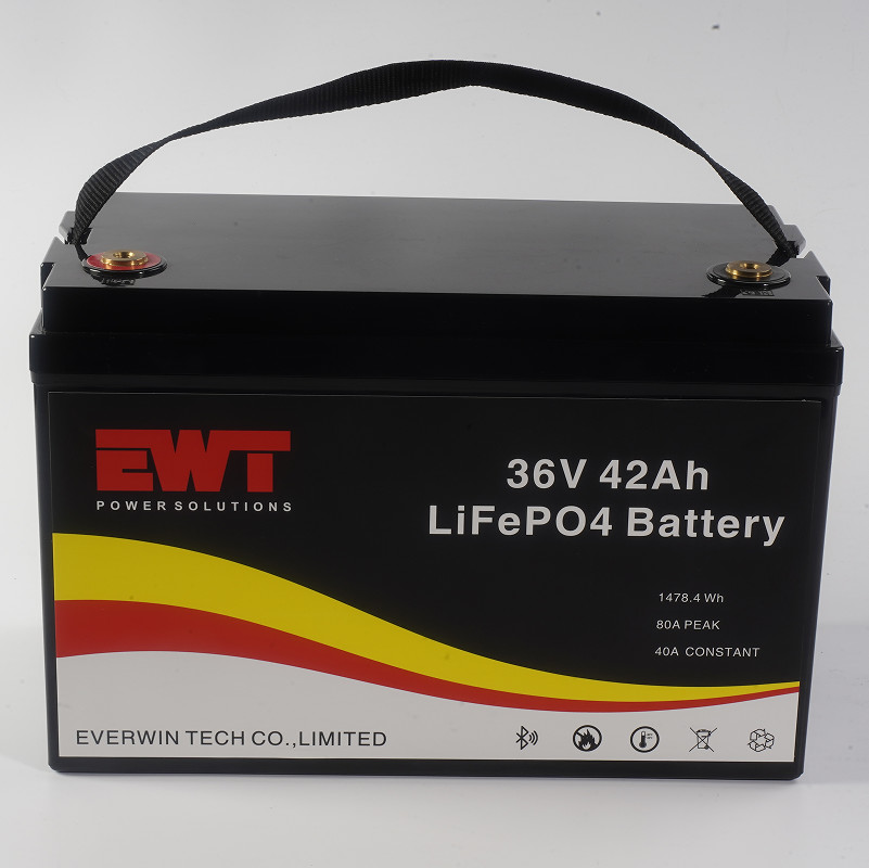Lithium Ion Rechargeable Battery Pack 36v 42Ah LiFePO4 Batteries For Energy System Storage