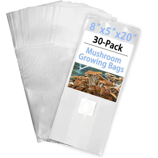 China Mycology Fungus Grow Mycelium Cultivation Growing Mushroom Grain Spawn Bags factory