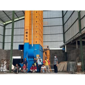 China 12 Tons Rice Parboiled Paddy Dryer Condition New factory