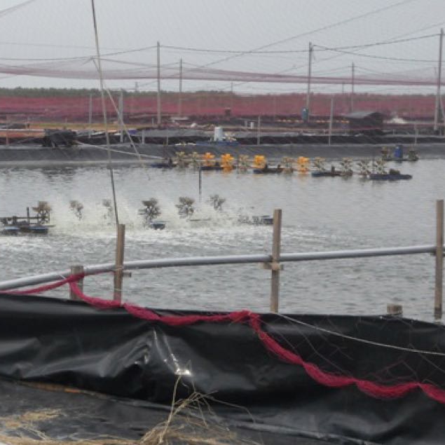 Anti-Seepage HDPE 1.0mm Geomembrane Fish Farm Pond Liner made of 100% Virgin Material