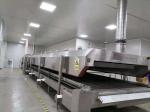 Conveyor Fast Freeze Freezer Seafood Commercial Blast Chiller