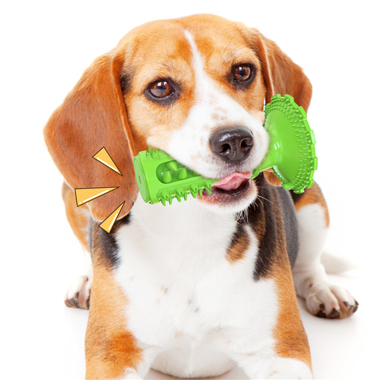 Professional Manufacturer Supply Classical Tpr Dog Squeaky Sounding Toothbrush Dog Interactive Toy