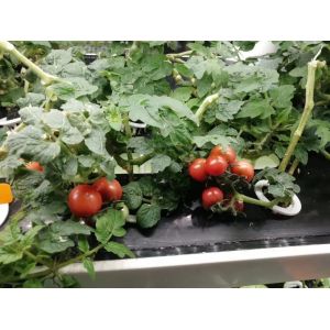 Home Intellect Vegetable Machine And Multi Layer Vertical Intelligent Planter
