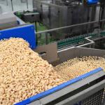 Automatic canned beans production line white kidney bean canned food production