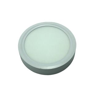 China Wall Mounting Circular Bevel 4000K Round LED Ceiling Light Panel factory