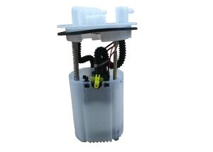 China PW826330 Electric Fuel Pump Assembly For Proton Saga BLM 1 Year Warranty factory