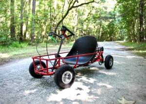 China Mechanical Chain Transmission 20mph 40cc Youth Go Karts factory