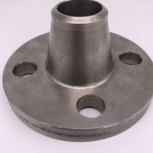 National Standard Alloy Threaded Flange B564 N10276 5"900#