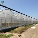 Heat Resisting Morden Multi Span Greenhouse For Commercial Agriculture