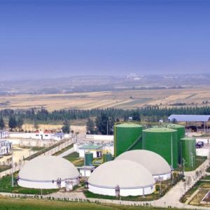 Weather Resistant Biogas Gas Holder Digester Mounted Double Membrane