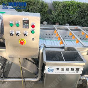 Bubble Washing Machine /Frozen Mixed Vegetable Processing Line /Fruit Washing