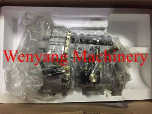 China Fuel Injection Pump Wheel Loader Engine Parts Weichai WD10G 612601080591 factory