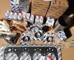 Italy IVECO diesel engine parts，Iveco generator accessories,Bearing,con-rod for