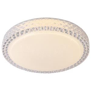 China Badria LED Ceiling Lamp 36W factory