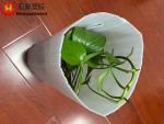 Non Toxic 30cm Corrugated Plastic Tree Protectors
