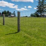 High Tensile Woven Farm Wire Mesh Fence For Protection Deer 10-200m Roll