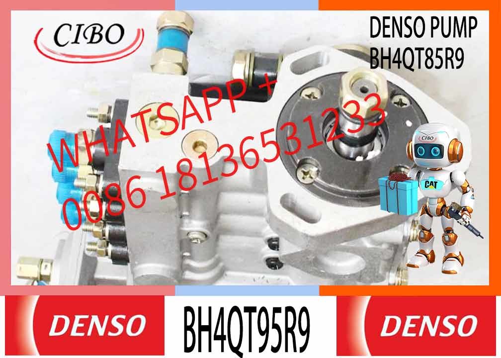 SD1-HA10001180 BH4QT95R9 FUEL INJECTION PUMP FOR YUNNEI POWER 4102GB-110007 ENGINE