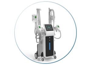China CE approved fat freezing body slimming cryolipolysis machine price factory