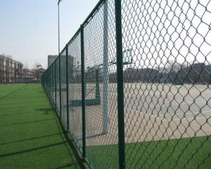 China China supplier chain link fencing,galvanized chain link fence,Security Fencing factory
