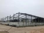 Grey Steel Frame Structure Construction With Bule Roofing Sheet