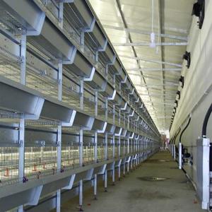 China Less Feed Wastage Indoor Chicken Cage , Auto Feeding Poultry Farm Cage factory