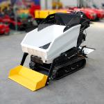 360 kg Transport Mass YANMAR Engine Mini Carrier Dumper 800kg Gasoline Tracked