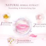 Custom Nourishing Konjac Lip Filler Patch Cruelty Free