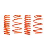BMW 320i 2012 Sport Lowering Springs Customizable Suspension System