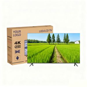 China 65 inch OLED TV Customization OEM 4K UHD LED TV Digital TV Standard ISDB T2 S2 ATSC DVB T ISDB Other Models Versions on sale