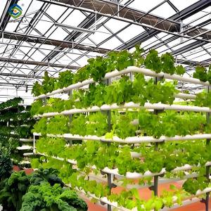 China Weather Resistance Hydroponic System Greenhouse Multispan For Planting factory