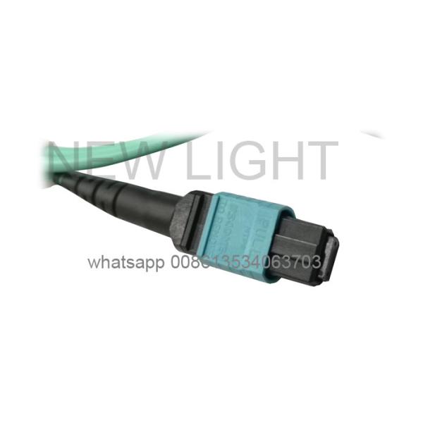 China MTP Breakout Harness Cable with 0.35dB Elite Low Loss Connector for Easy Migration from 10GbE to 40GbE or 100GbE and 500 pcs/day Production factory
