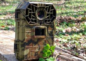 China Wild Game Deer Scouting Cameras Mini Wireless Tree Cameras For Hunting factory