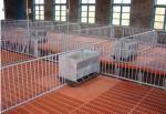 pig breeding equipment
