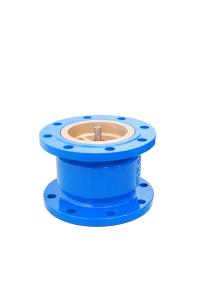 China Full Flow Design DIN Silencing Check Valve Cast Iron Any Direction Installation factory