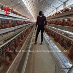 Customized Layer Chicken Cage , Q235 Low Carbon Steel Poultry Battery Cage Doris
