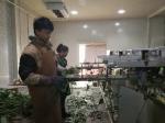 Flower Sorting Automated Focusight Inspection Machine