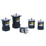 4rk30w 80mm Variable Speed Ac Motor 50/60hz Micro Small