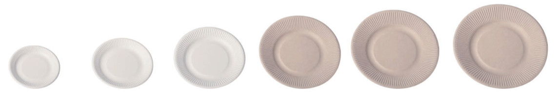 9inch Microwave Compostable Party Plates Sugarcane Fibre Tableware