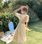 Back Tie Bow Waist Puff Sleeve A Line Dress