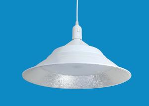 China 30W LED High Bay Light 90 ~ 100lm/W For Countryside Street Light Dimmable factory