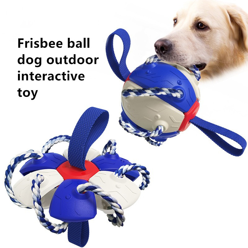 New Popular Amazon Outdoor Training Frisbee Interactive Football Dog Toy