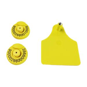China Lightweight Yellow RFID Ear Tag for Livestock Tracking and Management factory