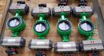 Double action and single action 1/4 turn pneumatic rotary actuator for butterfly