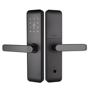 China Remote Control Smart Door Lock WiFi Smartphone APP Funciton &amp; Voice Control factory