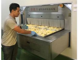 China DJL High Quality Food Iqf Quick-Freezing Equipment Tunnel Freezer For Seafood And Vegetable factory