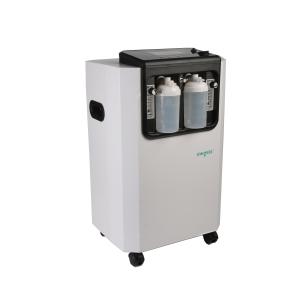 China Nebulization 750w 220v 10 Liter Portable Concentrator factory