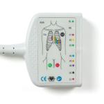 10Lead ECG Patient Cable Compatible For Schiller AT10, AT10 Plus, AT101, AT102,
