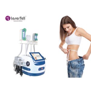 China Slimming Touch Screen Portable Cryolipolysis Machine Ce Certification on sale