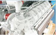 China 500kw Natutal Gas/Biogas/LPG Generator Standby 1500/1800rpm factory