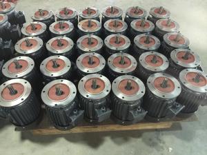 China Motor for Fish Pond Aerator 9splines / 4splines taiwan type factory
